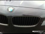 550i CF front grilles.JPG